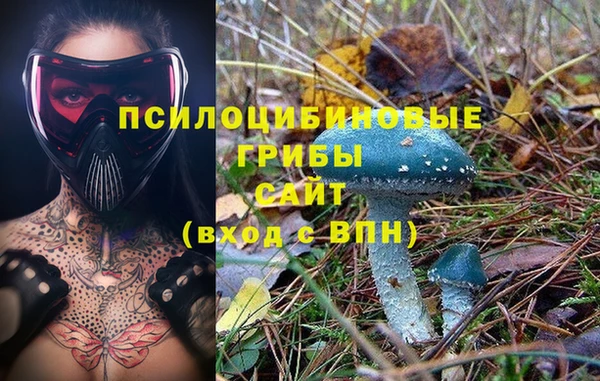 шишки Михайловск