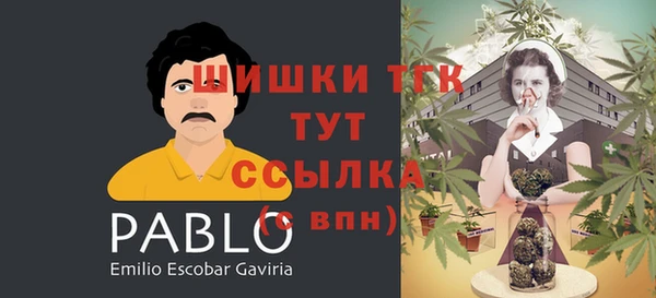 шишки Михайловск
