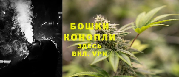 шишки Михайловск