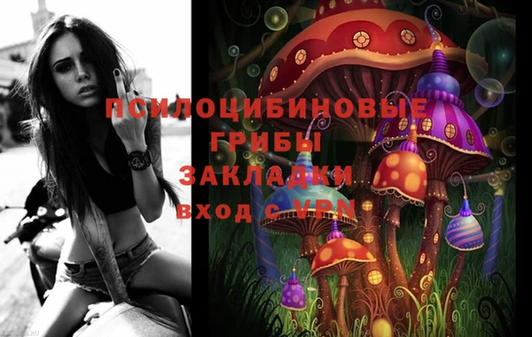 шишки Михайловск