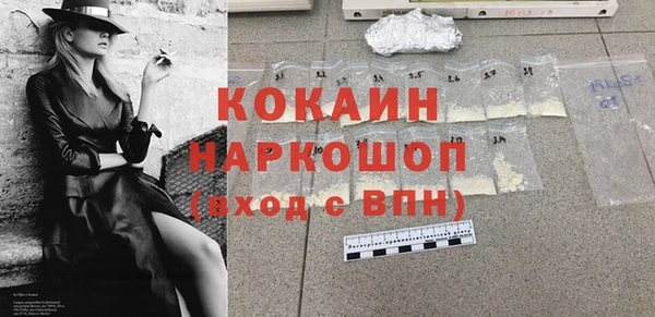 шишки Михайловск