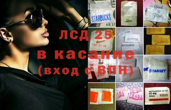 ECSTASY Михайлов