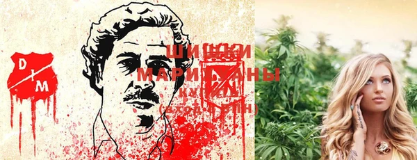 ECSTASY Михайлов
